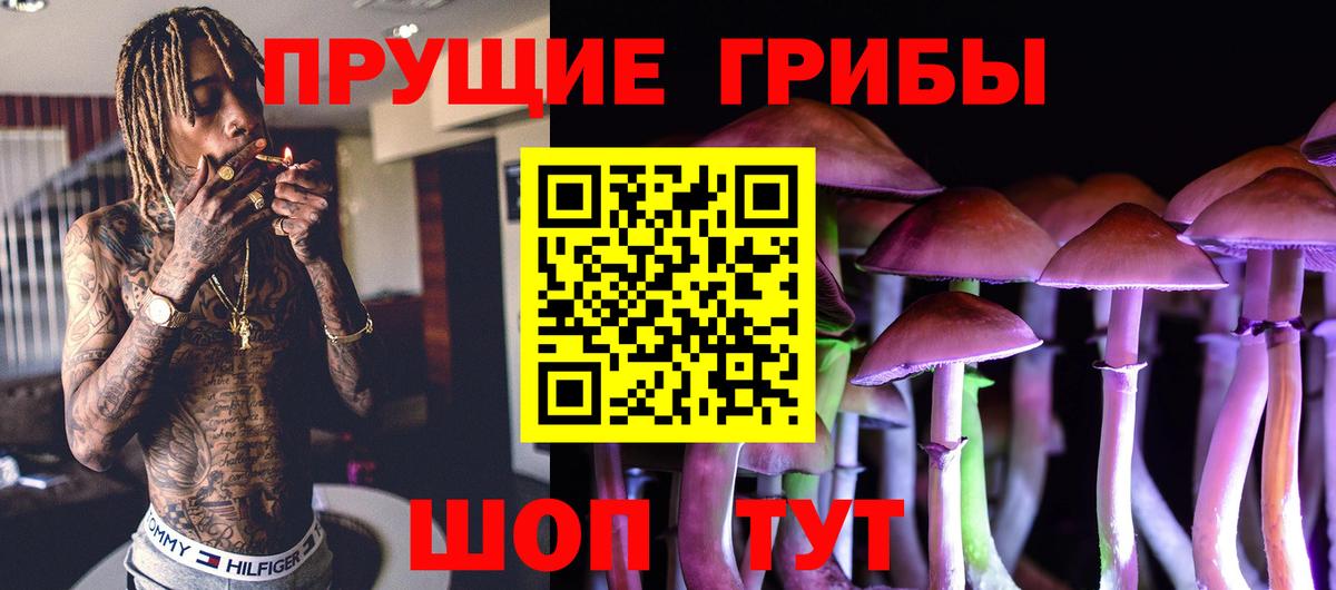 Псилоцибиновые грибы Cubensis  Вход с VPN  Мценск 